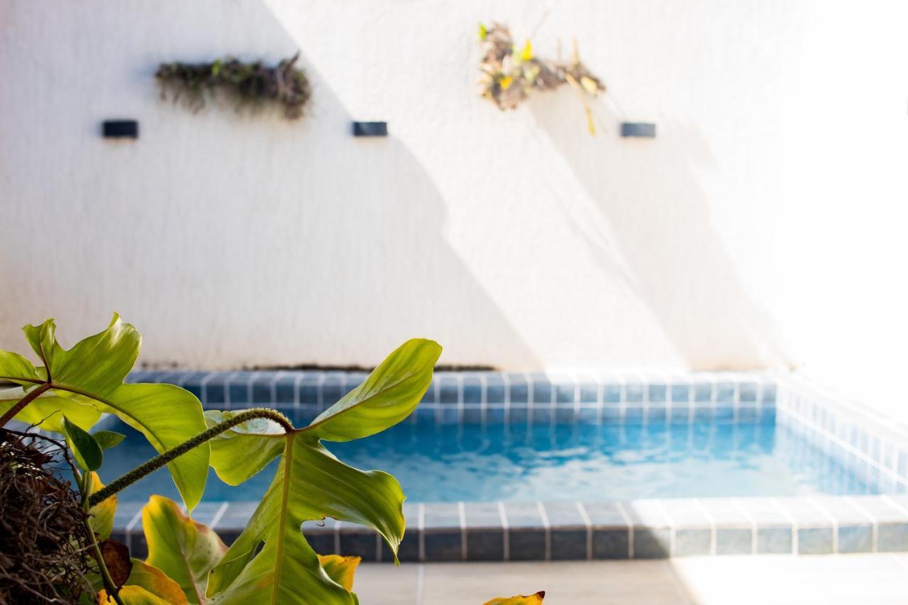 Casa Kayak - Villa Remo Milagres Piscina Privativa São Miguel dos Milagres Exteriör bild